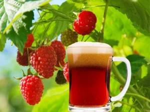 Cervezas-Ipa-en-malaga-birras-deluxe