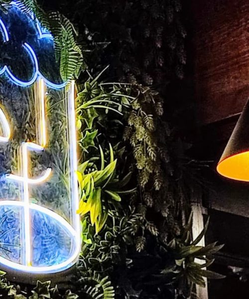 Jardin-vertical-birras-deluxe